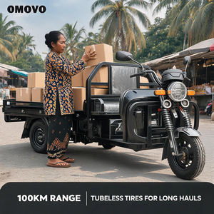 Tricycle électrique cargo OMOVO avec moteur, garantie 1 an, 750W, 220V, pour usage agricole - Product Image 1