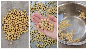 Máy đùn thức ăn cho cá | máy làm thức ăn cho cá nổi | máy làm thức ăn cho cá tôm - Product Image 2