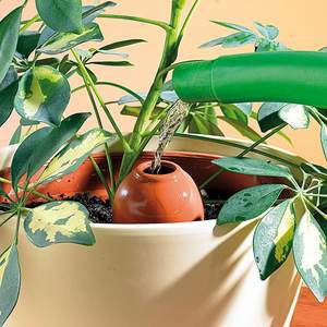 Set di 3 distributori d'acqua a sfera in <span class=keywords><strong>Terracotta</strong></span> irrigazione automatica per la cura delle piante - Product Image 2