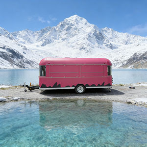 Carrito de 2 Ruedas de Acero Inoxidable Rosa Brillante, Diseñado para Mercados Nocturnos Iluminados con Neón, Ideal para Helados, Aperitivos Fritos y Té de Burbujas - Product Image 5