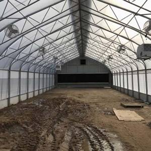<span class=keywords><strong>Serre</strong></span> de champignon de <span class=keywords><strong>serre</strong></span> verte à une travée de tunnel de poly agricole commercial de haute résistance à vendre - Product Image 3
