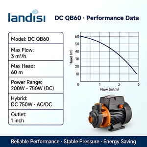 Bomba de Agua Solar DC SQB60 de Alta Presión con Impulsor de Latón y Gran Caudal para Toda la <span class=keywords><strong>Casa</strong></span> - Product Image 3