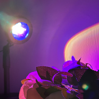 Projecteur de lampe LED RVB USB moderne et portable pour le coucher du soleil Veilleuse RVB télécommandée pour le salon, la photographie d'ambiance Néons