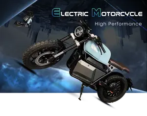 ER200 EWG-Popularprodukt 72 V 60 Ah bürstenloser Gleichstrommotor Hochgeschwindigkeit 95 km/h 4000 W 6000 W 8000 W Gelände-Elektro-Motorrad