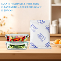 Pack de glace réutilisable en gel sans BPA de 200 g, approuvé par la FDA, pour boîtes à lunch et transport en glacière