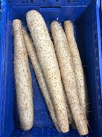 Enorme kwaliteit Japanse Yam, rijke smaak, dichte textuur, verse groenten, importeur, gekoelde opslag, 10kg/doos
