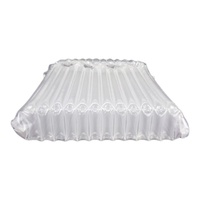 Sac gonflable à colonne d'air coloré, coussin d'air imperméable pour l'emballage d'ordinateur portable