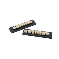 Ensemble complet de dents artificielles en résine synthétique, dents antérieures et postérieures, prothèses dentaires, fausses dents pour laboratoire dentaire, fabrication de prothèses
