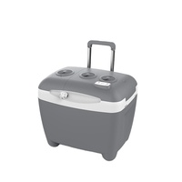 Mini glacière portable électrique de camping de 50l avec roues peut chauffer et refroidir DC 12V,AC 100V-240V glacière