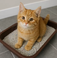 Litière pour chat en gros, 5 kg, directement de l'usine, anti-odeur, café, citron, lavande, en forme de boule, agglomérante, à base de bentonite