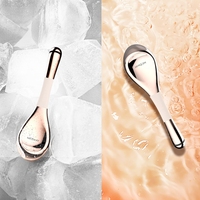 Nouveau masseur facial Gua Sha à micro-courant portable, globes de glace cryogéniques en acier inoxydable, alimentés par énergie solaire pour le massage du visage et des yeux