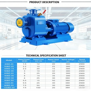 <strong>Electric</strong> Self-priming <strong>Pump</strong> For Well <strong>Water</strong> Automatic Booster - Product Image 5