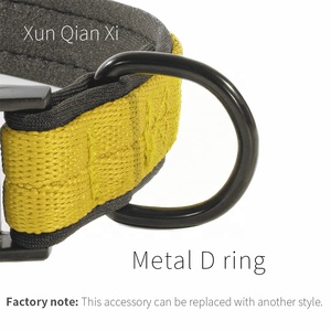 Wholesale Trade Customization LOGO Oem Yellow Thick Adjustable Solid Nylon Ribbons Cushion Minimal Pug <strong>Dog</strong> Collar Luxury for - Product Image 6