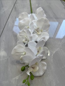 CM-DC004 <span class=keywords><strong>Orchidea</strong></span> Phalaenopsis in Lattice Effetto Reale, 9 Fiori Artificiali per Decorazioni Matrimoniali - Product Image 5