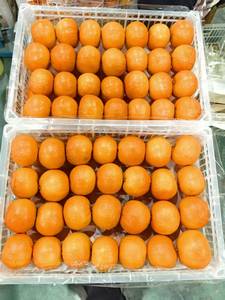 Naranjas Valencia Navel Frescas 2026, Cítricos Orgánicos Dulces y Jugosos de Primera Calidad para Exportación al por Mayor desde China - Product Image 3