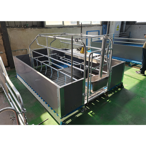 HENGYIN HY-AFS Jaula para Cerdas de Acero Galvanizado en Caliente con Nuevo Diseño de Barra Antipresión Cómoda y Antiaplastamiento para Granjas de Cerdos, Precio de Fábrica, Certificación CE - Product Image 4