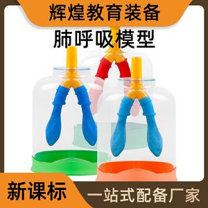 Matériaux pour modèle de respiration pulmonaire, système simulateur de mouvement du diaphragme, biologie pour collèges, sciences pour écoles primaires - Product Image 5