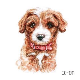 CC011
