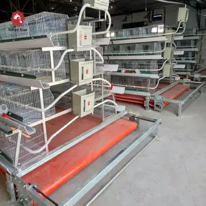 Poultry chicken farm equipment A type broiler chicken cage