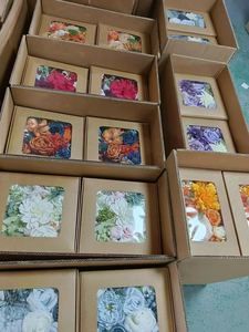Boîte de <span class=keywords><strong>fleurs</strong></span> séchées la plus vendue - Décoration d'intérieur polyvalente, cadeau floral créatif. Vente directe d'usine, <span class=keywords><strong>livraison</strong></span> à votre porte. - Product Image 3