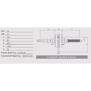 ATHENA Crankshaft Pin Diameter 12mm Made in Italy - Product Image 2