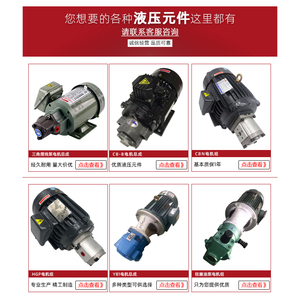 Triangular Cycloidal Pump Motor 220V Oil Gear Pump TOP 12A Machine Tool Lubrication - Product Image 4