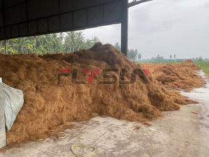 Machine d'extraction de fibre de coco coco concasseur de tourbe de coco utilisation de la machine de traitement pour matelas - Product Image 6