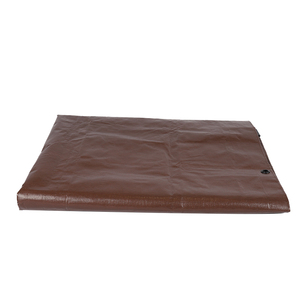 Bâche de protection <span class=keywords><strong>pour</strong></span> jardin, auvent imperméable, toile de bâche, bâche en toile cirée, auvent imperméable <span class=keywords><strong>pour</strong></span> plantes de jardin - Product Image 3