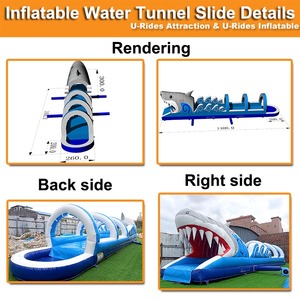 Bán buôn Chất lượng cao thương mại chất lượng cao dài Inflatable trượt nước trượt và trượt cho người lớn và trẻ em - Product Image 2