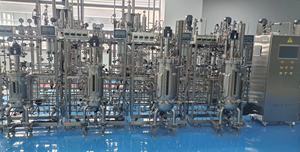 Estándar DE LA UE 30-100-500L Planta de agitación mecánica multietapa Biorreactor BLBIO 30-100-500SJA Tanque de fermentación biológica - Product Image 3