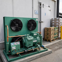 Chambre froide industrielle grande capacité pour entrepôt frigorifique, congélateur walk-in pour usine de transformation de viande et de produits de la mer