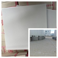 Carrelage en céramique résistant aux acides épais 300x300x20mm ZG-30020 Type Carrelage en céramique résistant à la corrosion chimique pour les zones à usage intensif