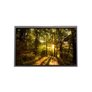 WLED 15K ชั่วโมง TFT LCD LCM GV101WXM-N10 10.1 นิ้ว 800RGB*1280 WXGA 150PPI ลดราคาจอแสดงผล LCD สำหรับอุตสาหกรรม - Product Image 1