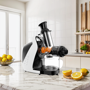 High Quality Commercial Smoothie Extractor 80mm Big Mouth Slow Cold <b>Press</b> Juicer Stainless Steel Masticating Juicer Home Use - Product Image 1