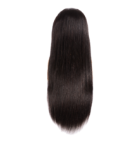 Perruque de luxe 100 % cheveux humains vierges chinois, lisse naturel, entièrement en dentelle, pré-épilée, haute densité, véritable postiche capillaire