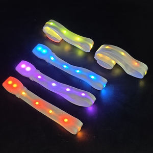 حزام 10 ليد شعار مخصص يتم التحكم فيه عن بعد ، تحكم DMX من أجل أضواء الحفلات متوفرة في 20 منطقة - Product Image 2