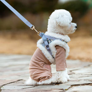 ชุดสายรัดสุนัขแบบตาข่ายไนลอนปรับได้ ระบายอากาศ พร้อมปลอกคอและสายจูงสำหรับลูกสุนัข แมว และสัตว์เลี้ยงขนาดเล็ก ไซส์ <span class=keywords><strong>M</strong></span> มีสินค้าในสต็อก - Product Image 1