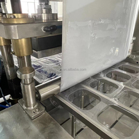 Scelleuse sous vide automatique à thermoformage haute performance pour le tofu et les produits avicoles