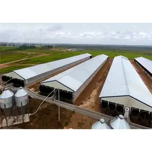 30x40 edificios metálicos estructura de acero granja avícola Casas Fabricadas costo