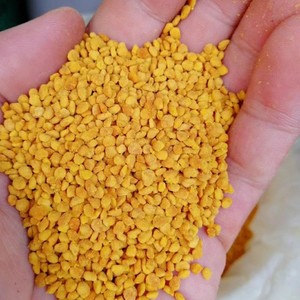 Số lượng lớn phấn hoa ong bột hữu cơ phấn hoa ong bột nguyên phấn hoa ong hạt - Product Image 4