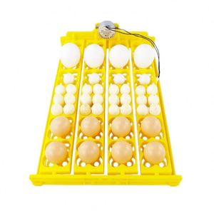 Incubateur entièrement <span class=keywords><strong>automatique</strong></span> compact, <span class=keywords><strong>fiable</strong></span> et durable, pour plateaux d'œufs de poulet, de canard et de caille, en matériau PP - Product Image 5