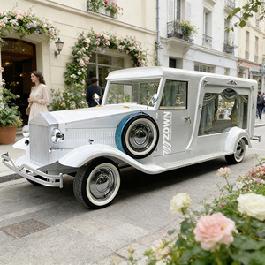 Limosinas Fúnebres Personalizadas, Carrozas Fúnebres y Vehículos Fúnebres Eléctricos a Buen Precio - Product Image 1