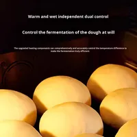 Boîte de fermentation industrielle à air chaud pour boulangerie, armoire de fermentation commerciale grande capacité, outil de cuisson 220V