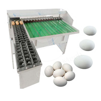 ORME-Mini bougie automatique trier les oeufs, pack de qualité propre, table légère et de lavage, machine à niveler les oeufs aux Philippines