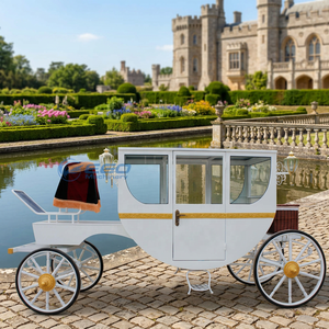 Calèche royale électrique à quatre roues, blanche et romantique, pour la vente, véhicule de tourisme et de mariage - Product Image 3