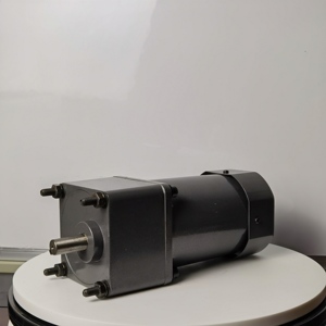 Chất Lượng Cao AC Động Cơ Cho Con Lăn Chảo Chiên/Hạt Giống Rang Xay/Rotary Pan - Product Image 4