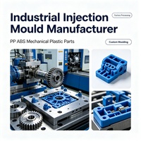 Conception et fabrication de moules en plastique personnalisés de haute qualité et durables, usine de moulage par injection