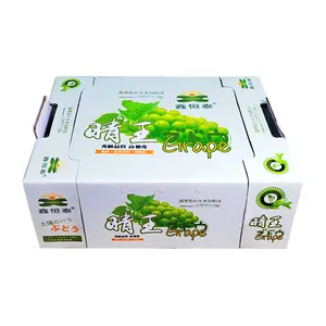 Fabricantes de caixas personalizadas para frutas, embalagens de papelão ondulado para frutas frescas, para exportação