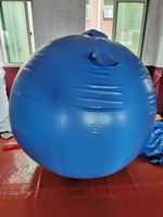 Grand costume gonflable rond de boule de myrtille de PVC de cosplay pour annoncer des gonflables