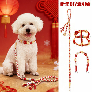 Handmade Braided Dog Leash Small Medium Breed Pet Walking Rope <b>Diy</b> Craft <b>Kit</b> For Dogs And Cats - Product Image 4